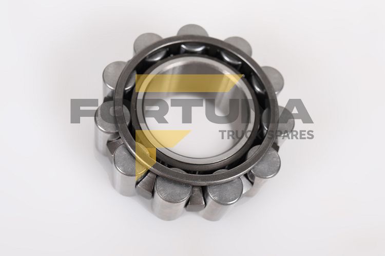 Imagem do produto ROLAMENTO - INTERNO PILOTO ZF 16S1650 - Cód: FAP-824